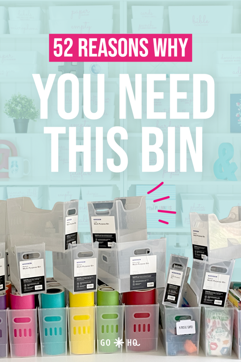 Multi-purpose Bin Review - Get Organized HQ